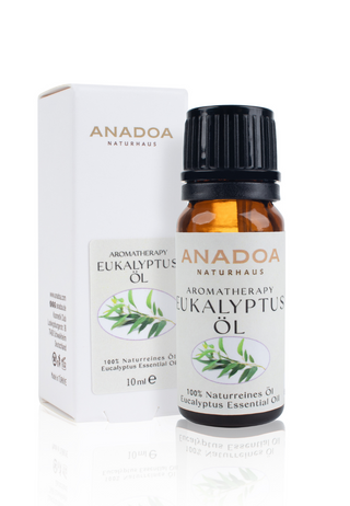 Eukalyptus Öl