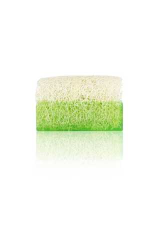 Luffa-Aloe-Vera-Seife-Natur-Handgemacht-2