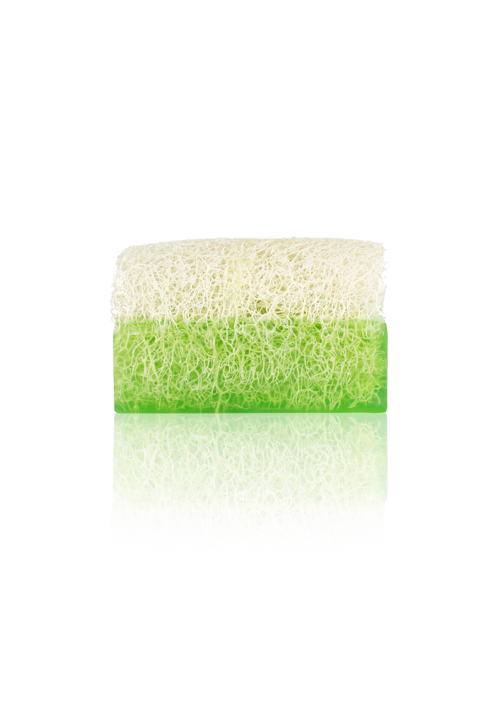 Aloe Vera Seife mit Luffaschwamm